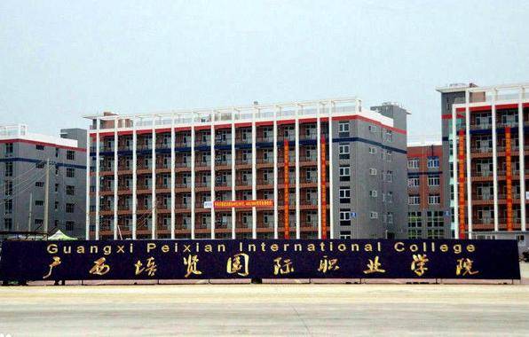国际职业学院油烟净化kaiyun网站工程