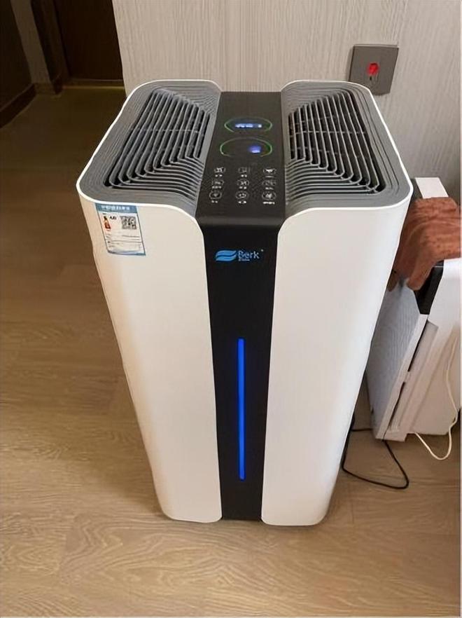 什么家庭需要使用空气净化器？2024年性价比机王空气净化器开云分享(图9)