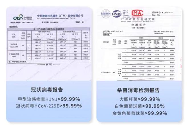 什么家庭需要使用空气净化器？2024年性价比机王空气净化器开云分享(图10)